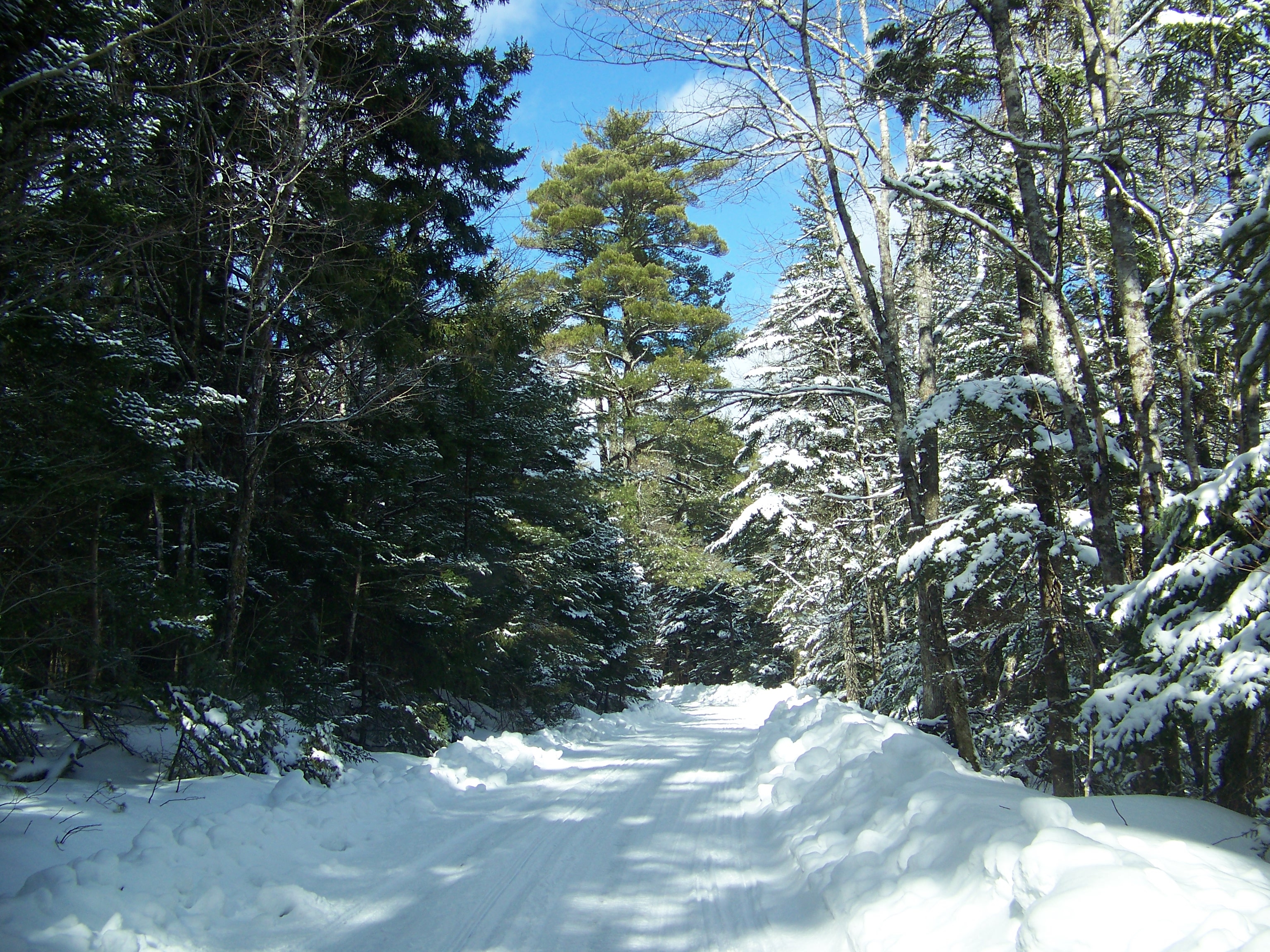 road to the lake.JPG